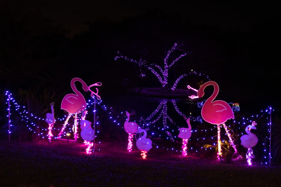 Selby Garden's Lights in Bloom