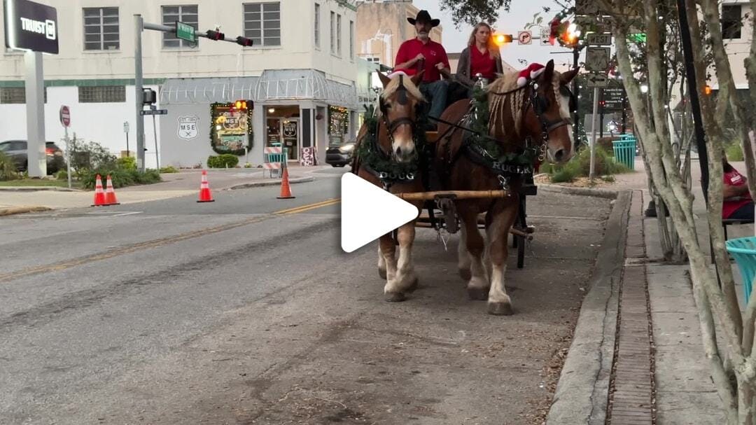 Christmas Horse Carriage Rides B-Roll 2022