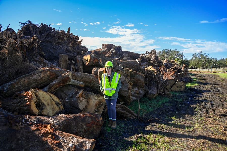 Ian - Vegetative Debris