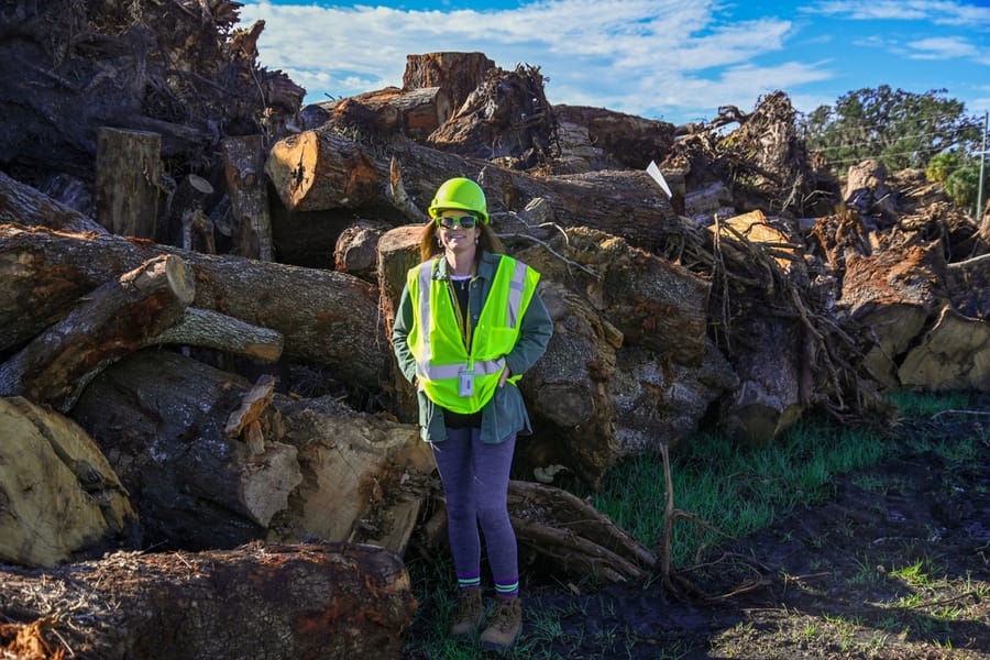 Ian - Vegetative Debris