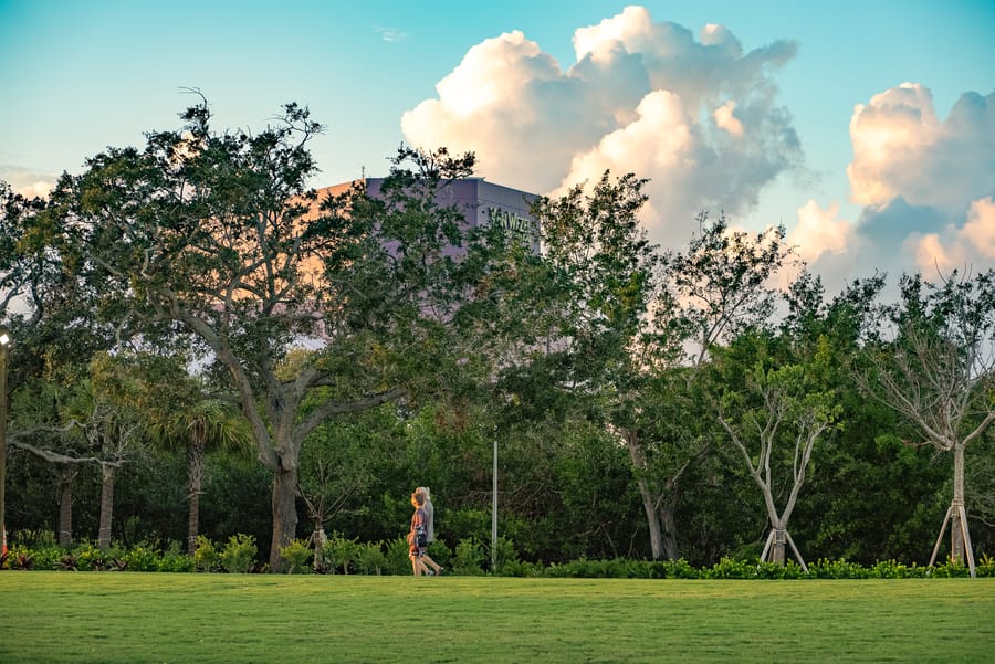 The Bay Sarasota