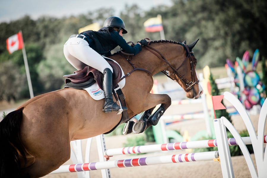 SRJT - Thursday - Show Jumping - Credit EQ Media-40