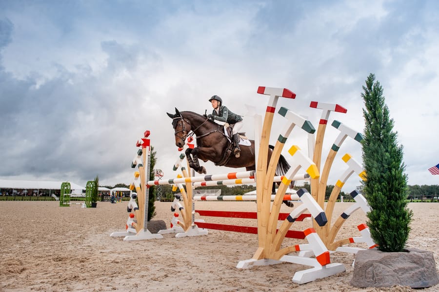 The Event at TerraNova - Show Jumping - Credit Al Green Photography