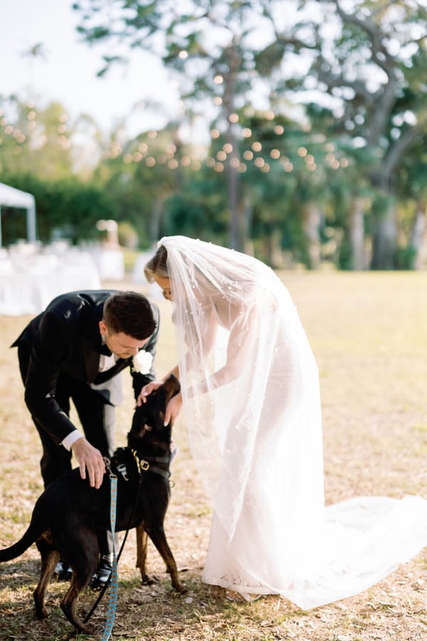 Shannon & Kyle 12.7.22 Dewitt for Love Photography