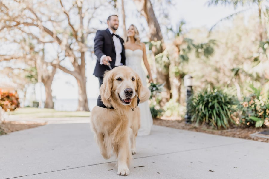 Rachel and Anthony 12.9.22 Tara Tomlinson Photography