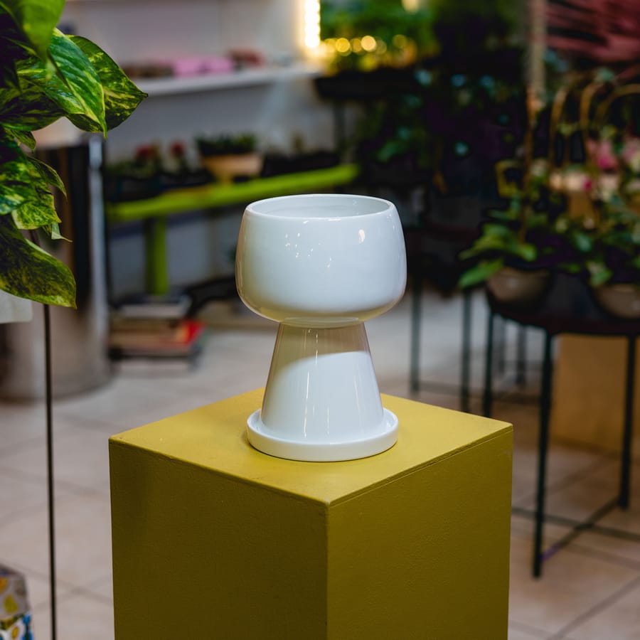 Chloris & Prase White Pedestal Planter