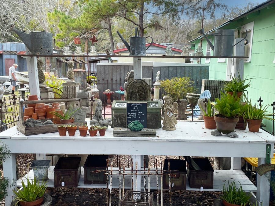 Green House on Main - garden bench with plants