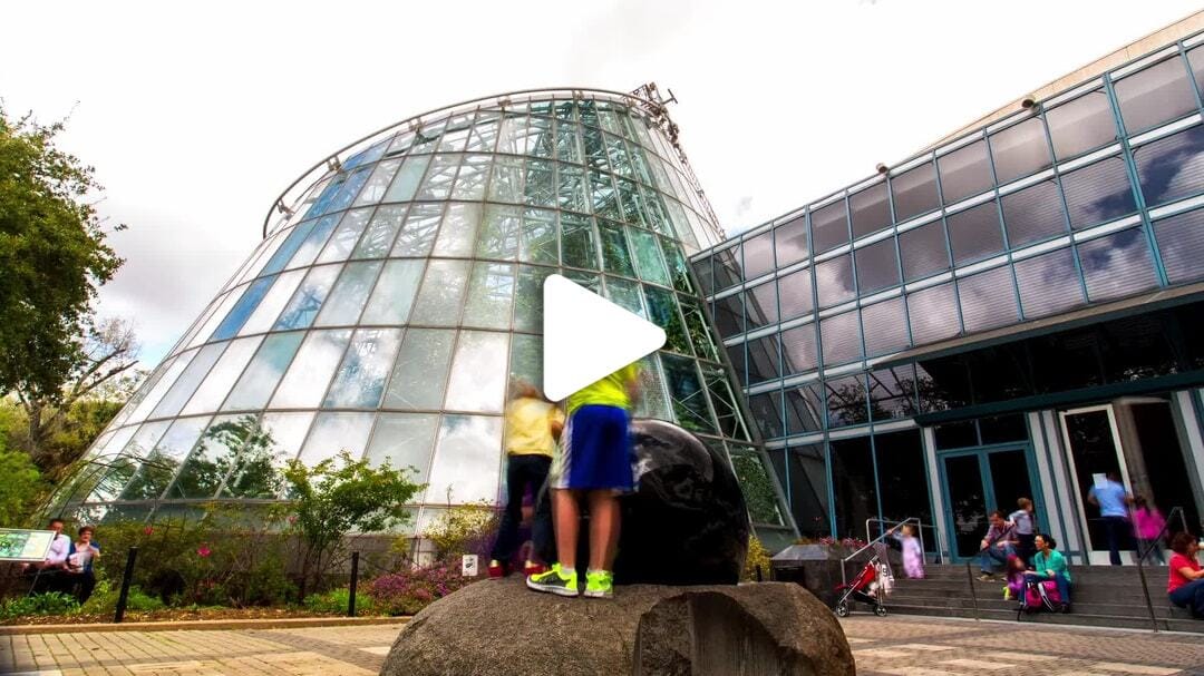 Houston_Museum_of_Natural_Science_Cockrell_Butterfly_Center_9