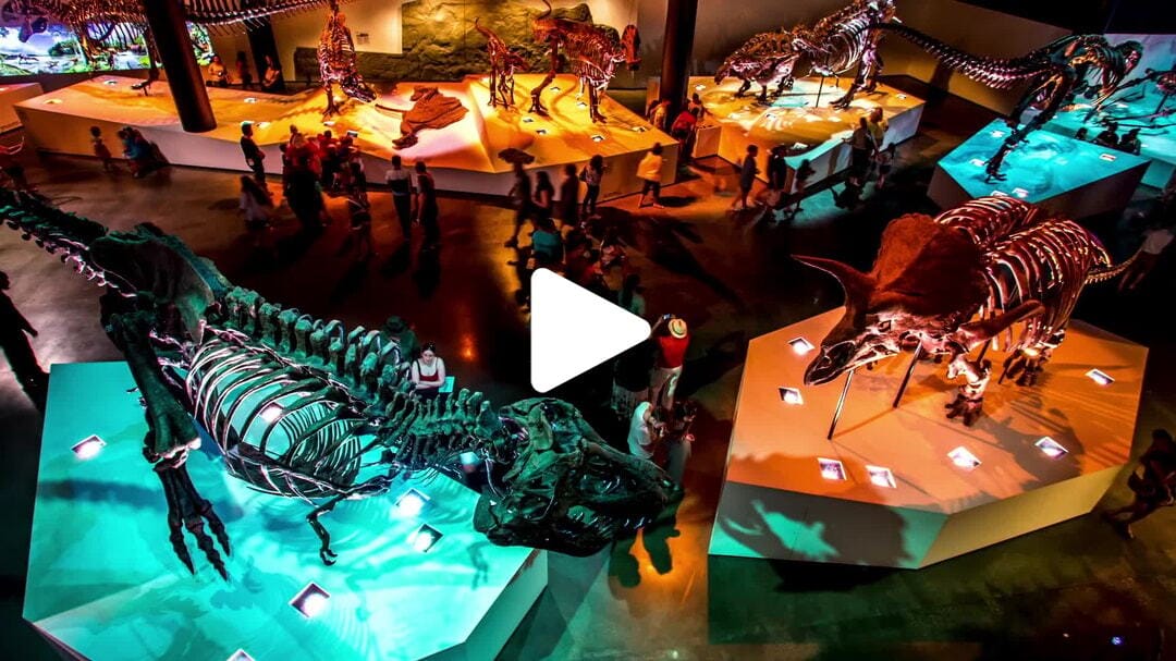 Houston_Museum_of_Natural_Science_3