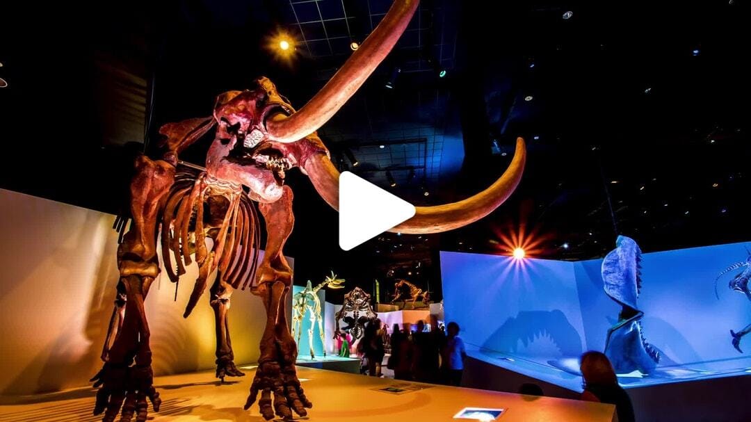 Houston_Museum_of_Natural_Science_1