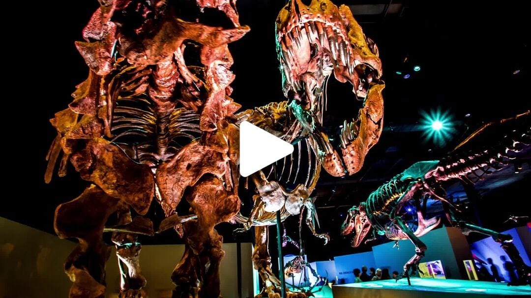 Houston_Museum_of_Natural_Science_2