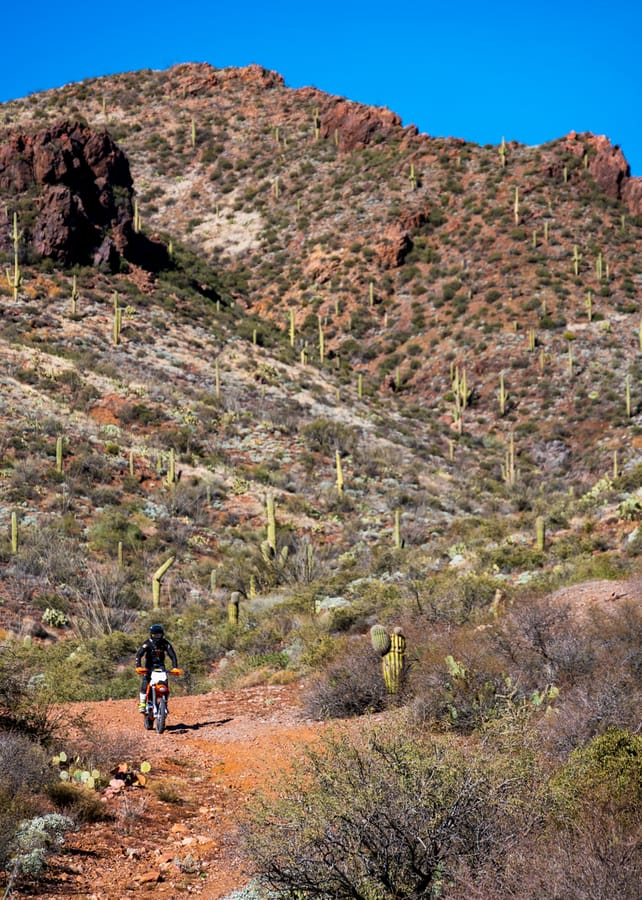 Jackass Trail OHV Riding Phoenix_An Pham_ANP0828