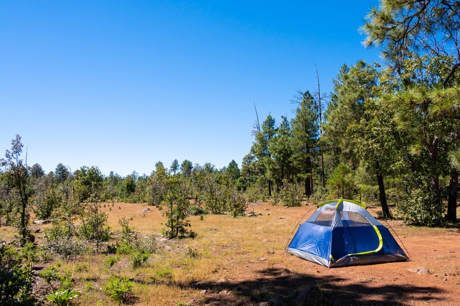 Camping Mogollon Rim Payson_An Pham_ANP1537