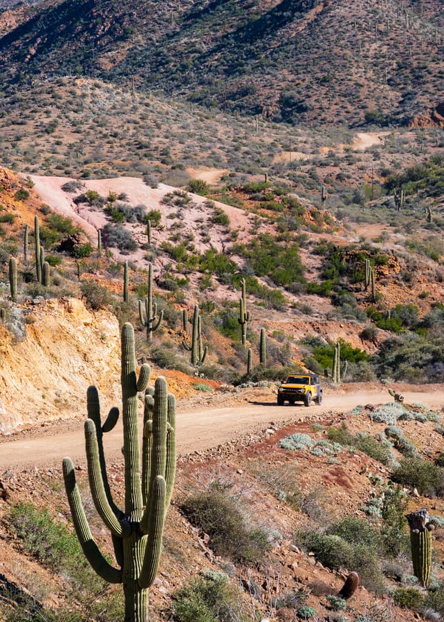 Jackass Trail OHV Riding Phoenix_An Pham_ANP0880