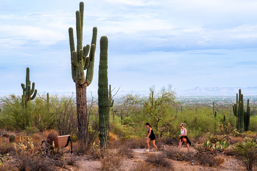 2022 Usery Mountain Regional Park_ANP_ANP9313-Edit