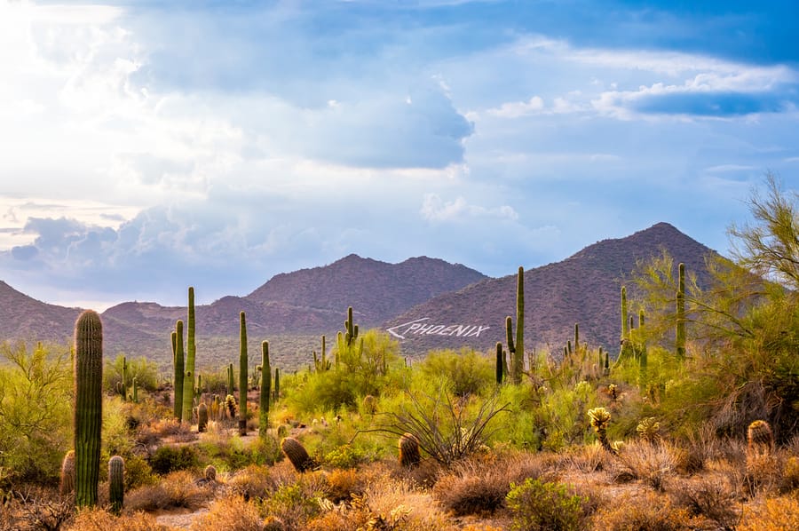 2022 Usery Mountain Regional Park_ANP_ANP9251-Edit