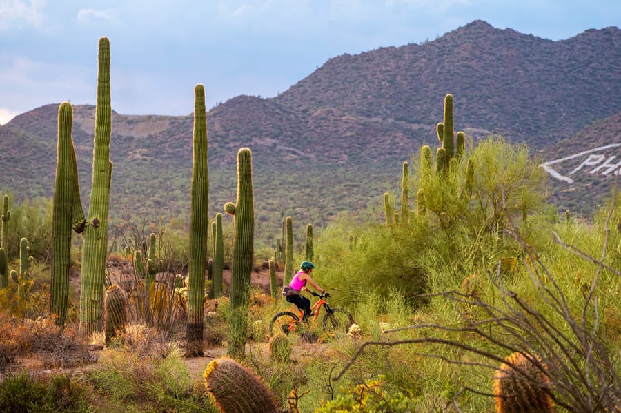 2022 Usery Mountain Regional Park_ANP_ANP9276-Edit