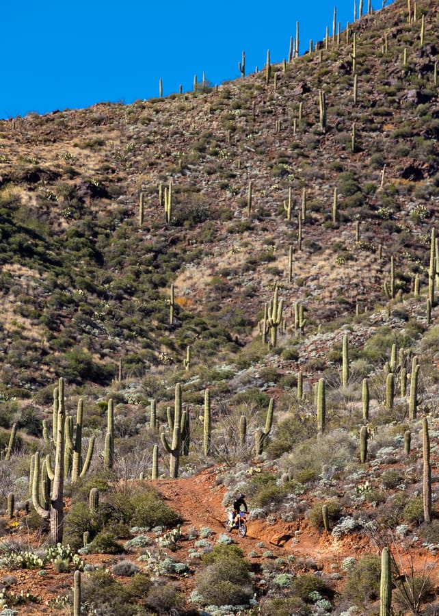 Jackass Trail OHV Riding Phoenix_An Pham_ANP0862