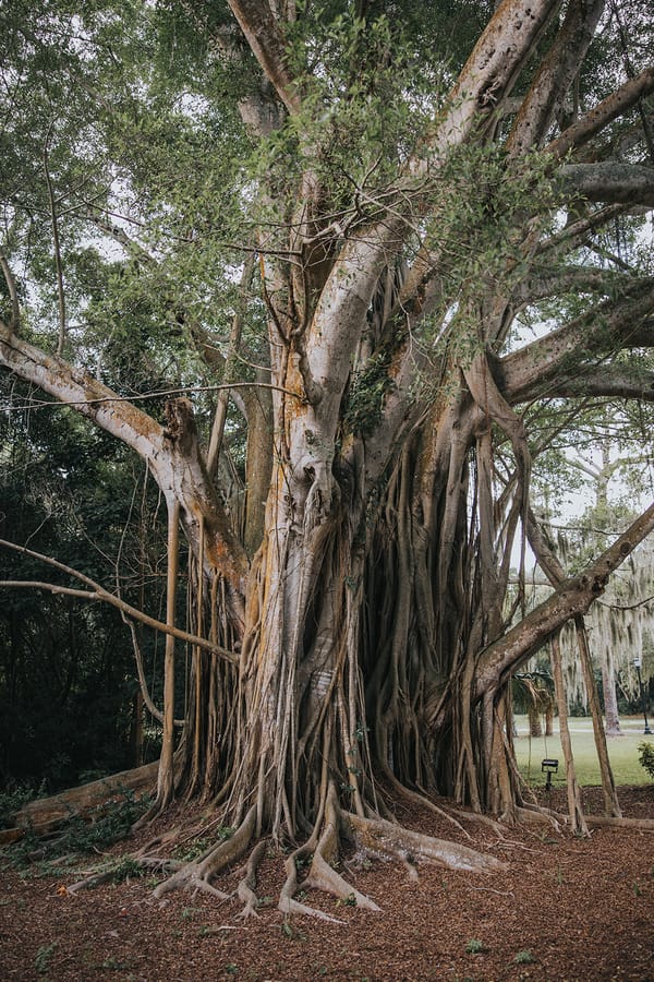 molly dan powel crosley estate wedding sarasota florida-5307