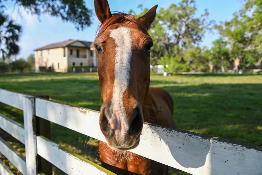 2023 Farm & Ranch Tour