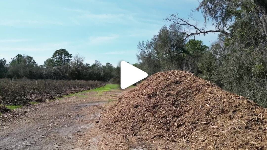 Margo's Blueberry Farm Drone B-Roll Feb 2023