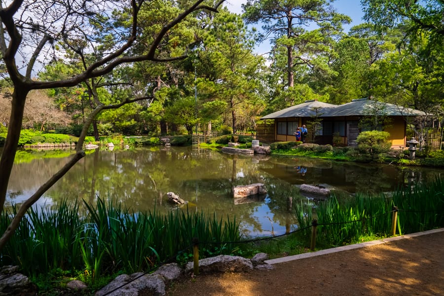 Japanese_Garden_Hermann_Park_6