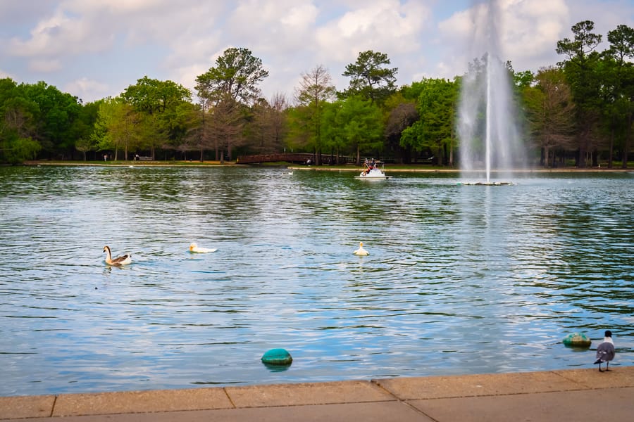 McGovern_Lake_Rowboat