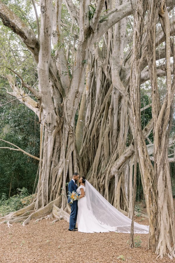 CORNELIA ZAISS PHOTOGRAPHY NYASHA + TAH WEDDING 0808