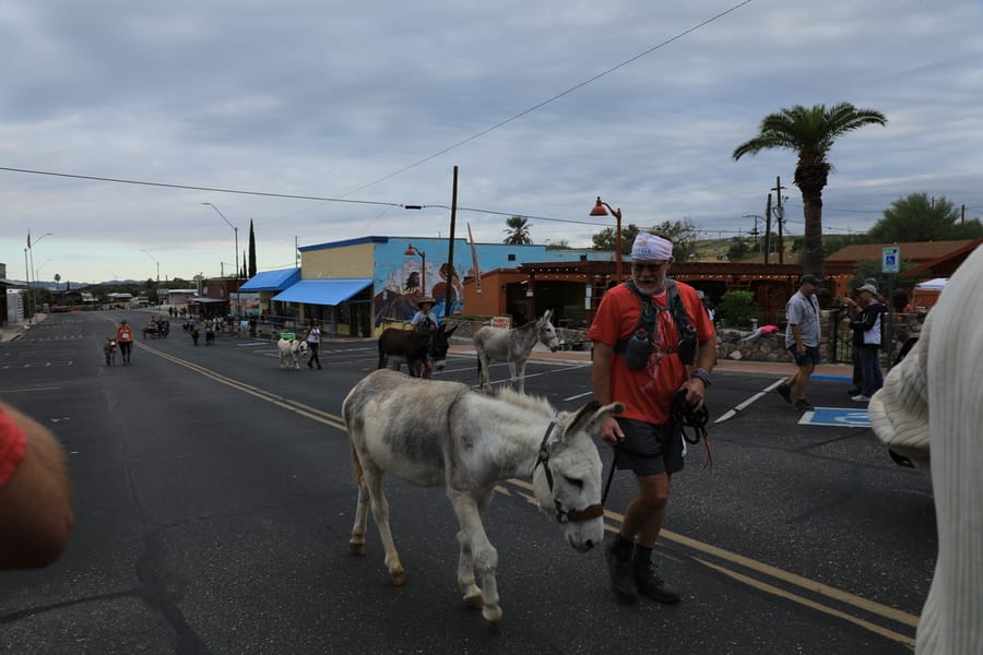 Superior Burro Run_Arizona Office of Tourism