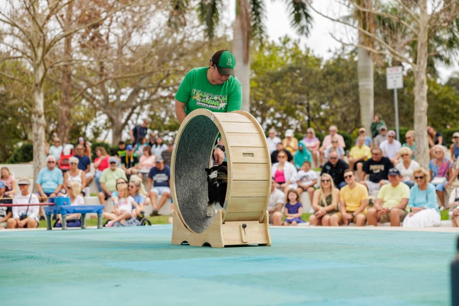 Bradenton Area River Regatta 2023