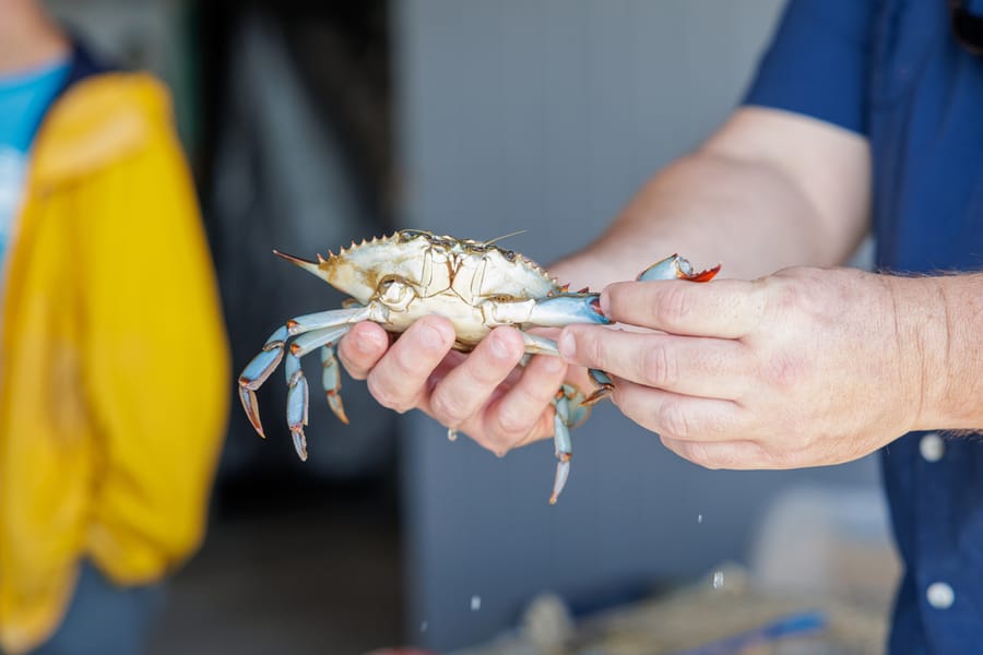 Cortez Commercial Fishing Festival 2023