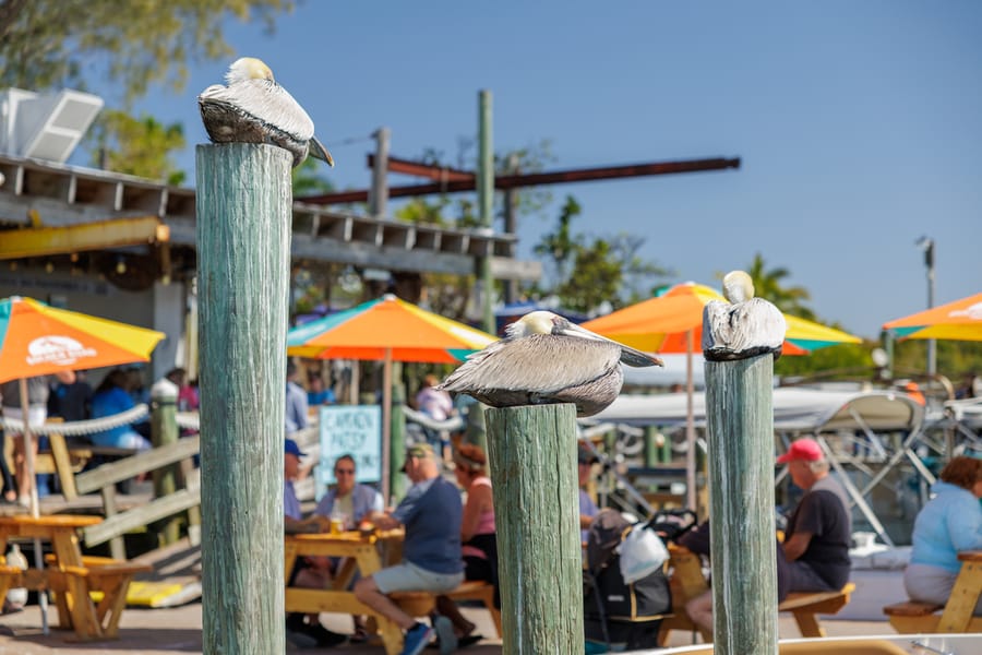 Cortez Commercial Fishing Festival 2023