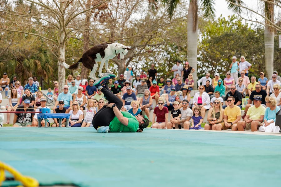 Bradenton Area River Regatta 2023