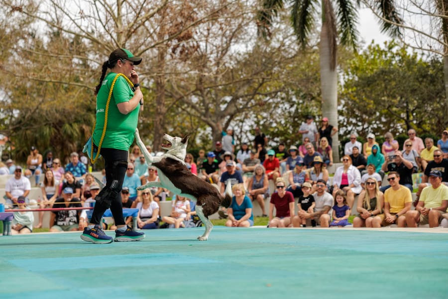 Bradenton Area River Regatta 2023