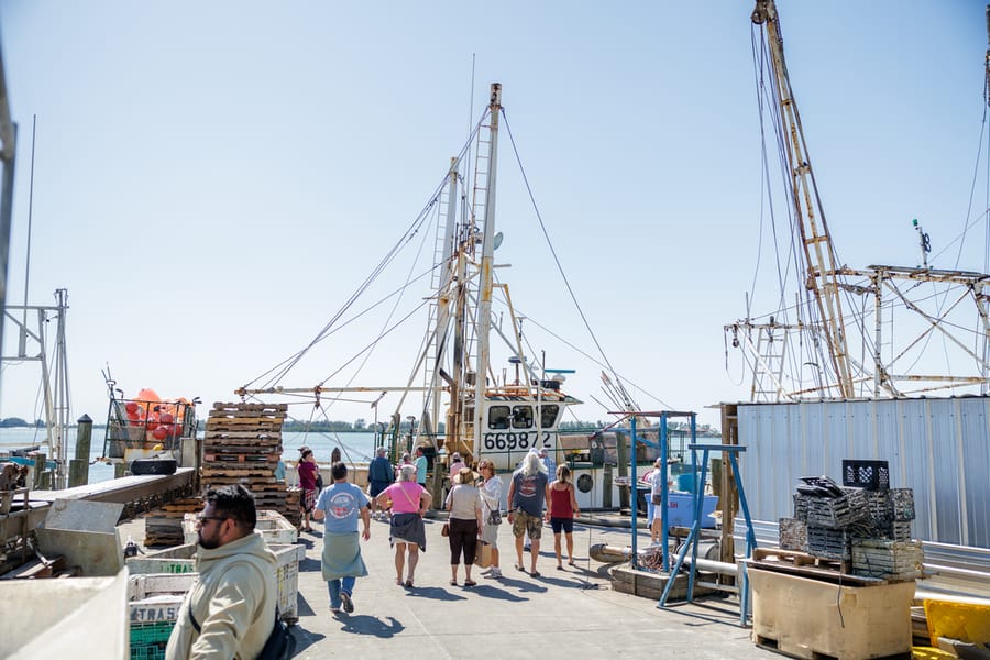 Cortez Commercial Fishing Festival 2023