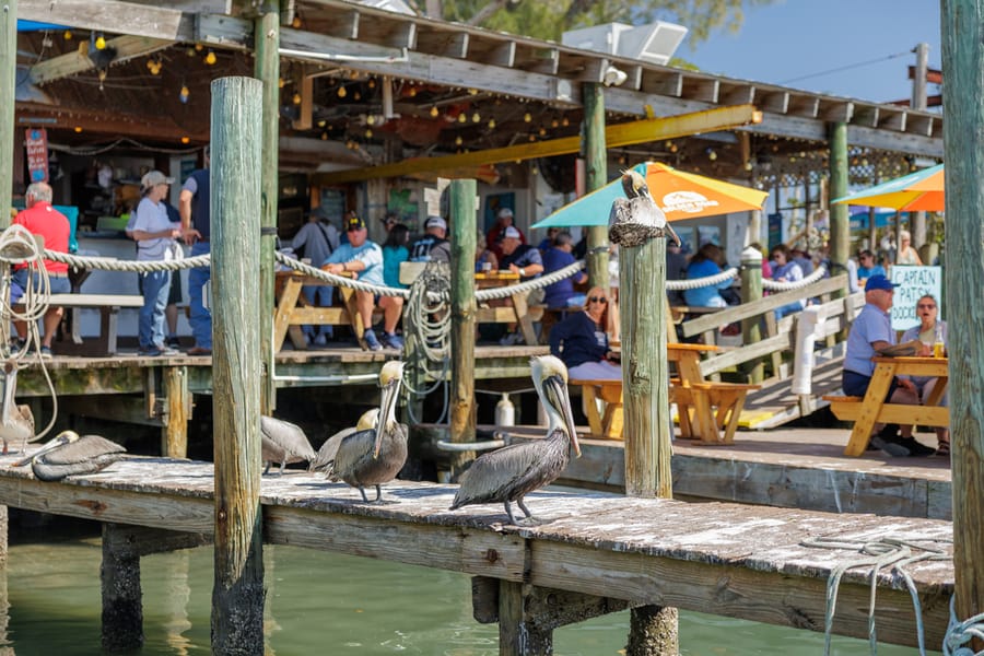Cortez Commercial Fishing Festival 2023