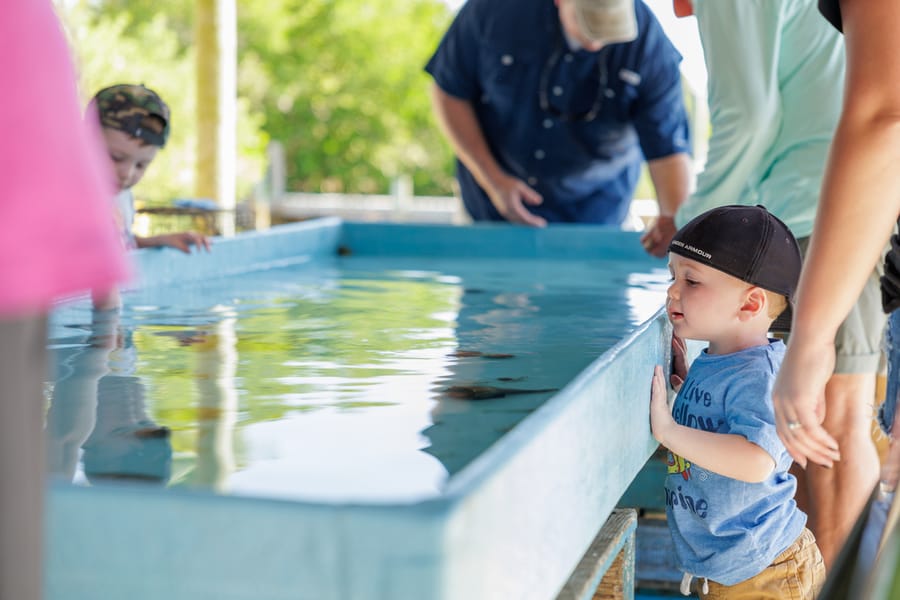 Cortez Commercial Fishing Festival 2023