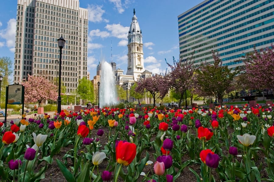 City Hall in Spring