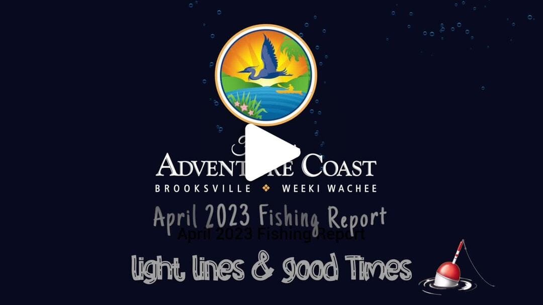 April Fishing Report 2023