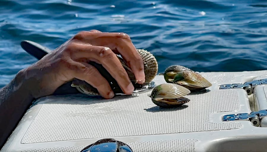 Scalloping 1