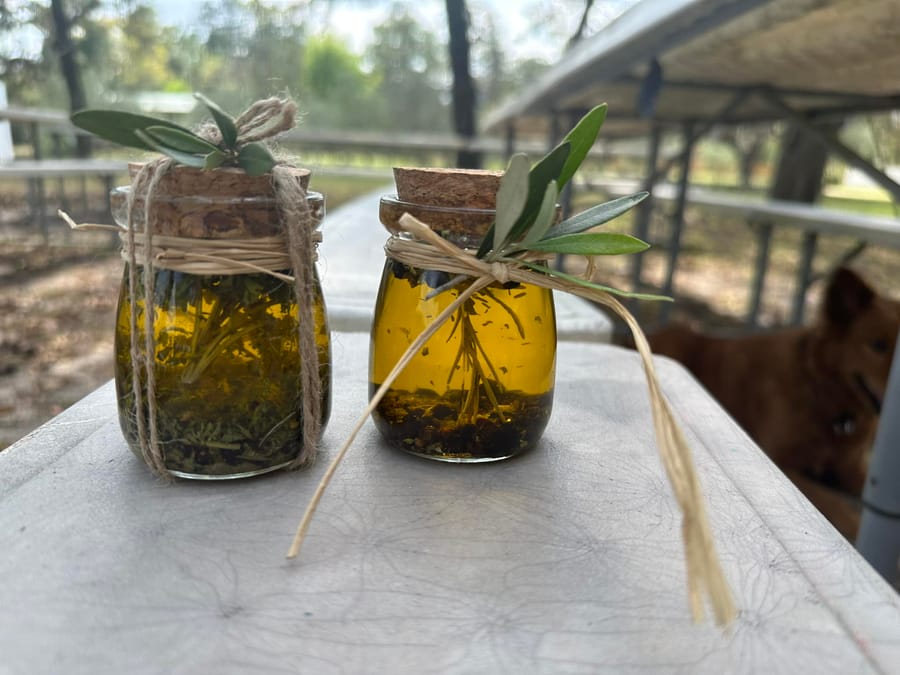 The olive grove - oil infusions