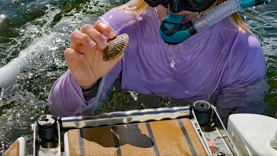 Kristy scalloping 2