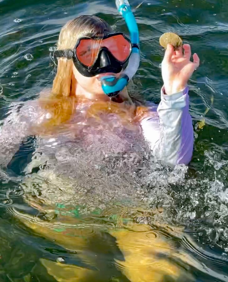 Kristy scalloping 4 vertical