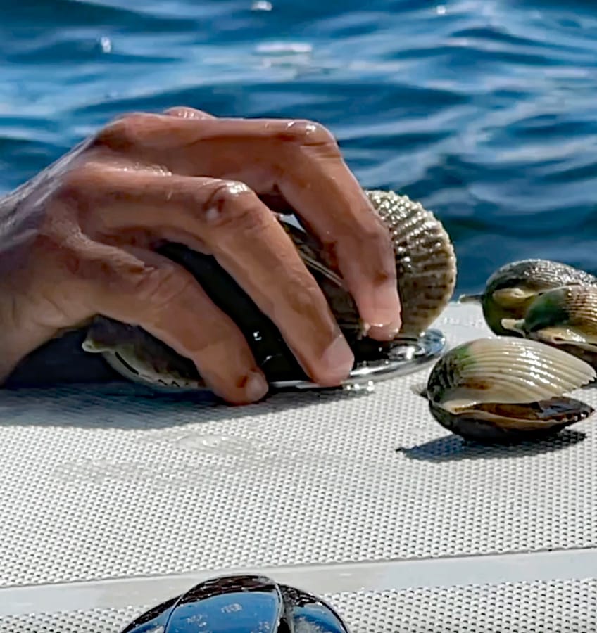 Scalloping 1 vertical