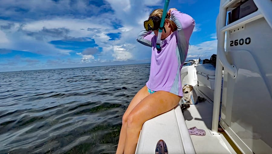 Kristy Scalloping 1