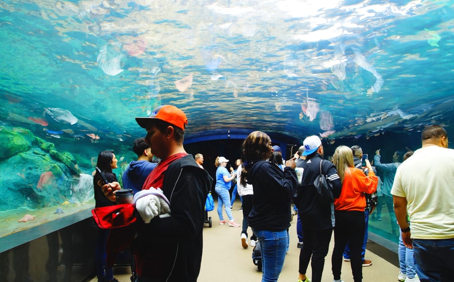 Galapagos_Islands-One_Ocean_Aquarium