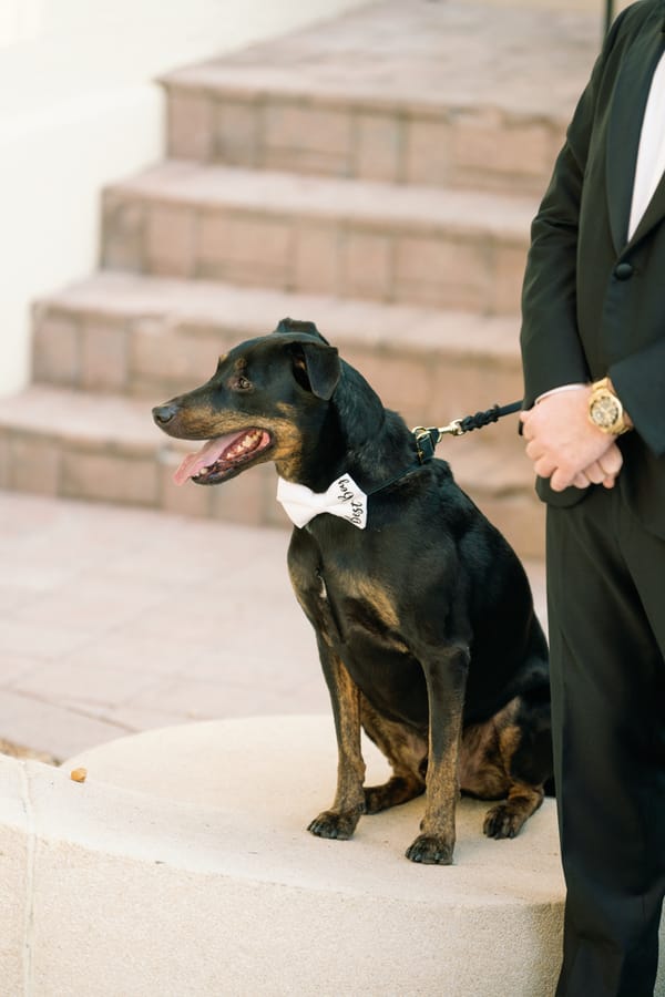 Shannon & Kyle 12.7.22 Dewitt for Love Photography