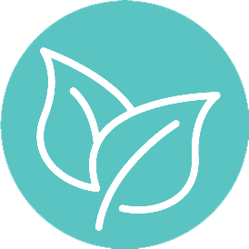 leaves_turq