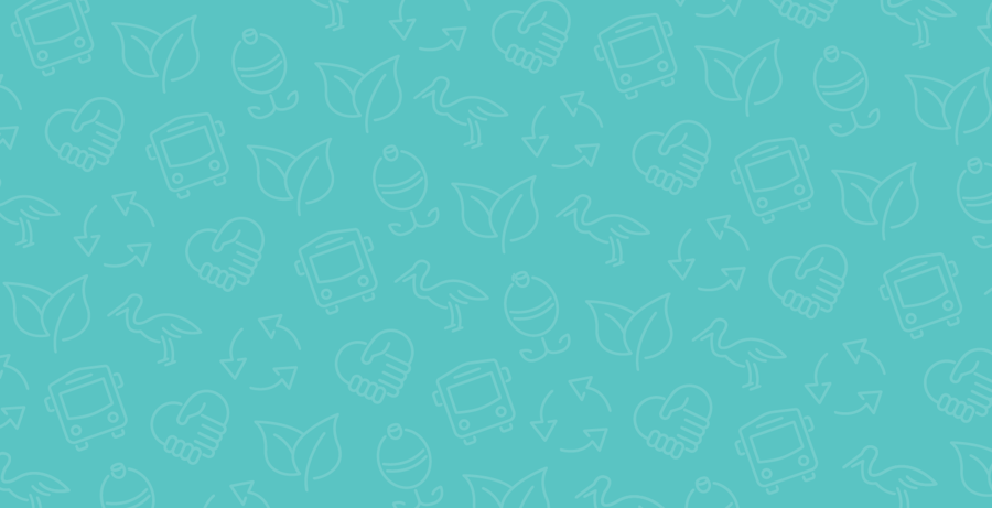 BACVB Love It Pattern turq