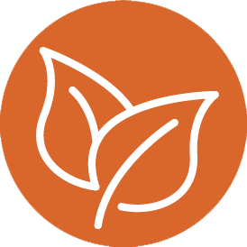 leaves_orange